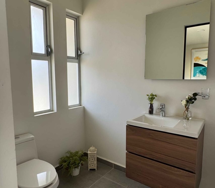 Medio-baño-entrada-Andromeda