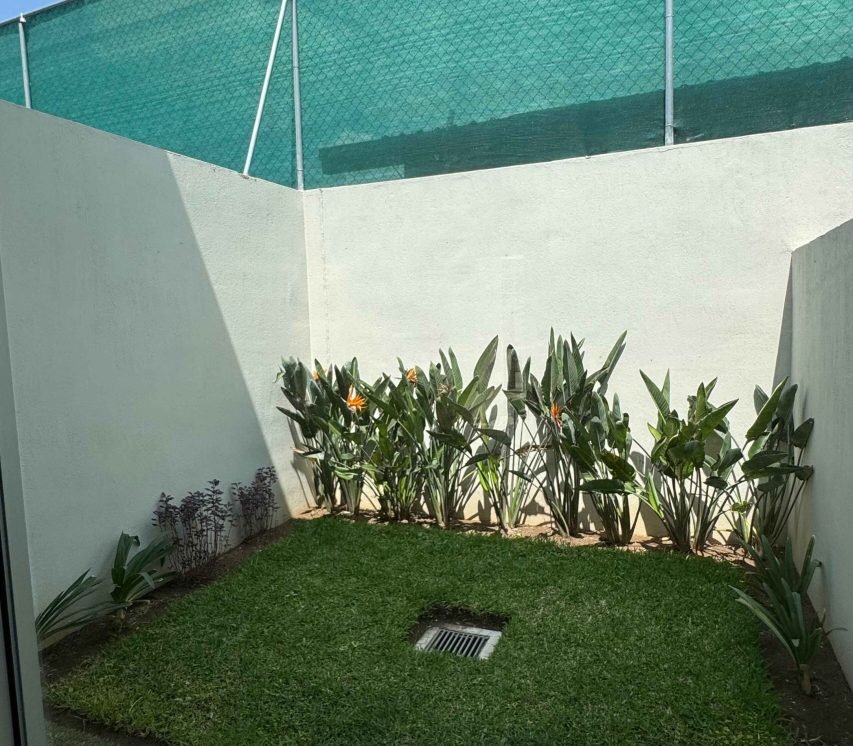 Patio-gygnus
